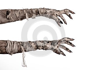 Halloween theme: terrible old mummy hands on a white background