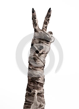 Halloween theme: terrible old mummy hands on a white background