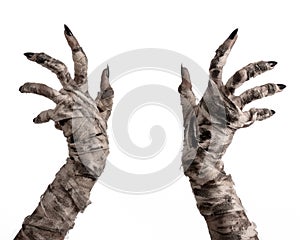 Halloween theme: terrible old mummy hands on a white background