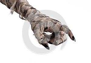 Halloween theme: terrible old mummy hands on a white background