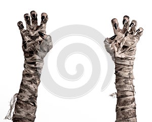 Halloween theme: terrible old mummy hands on a white background