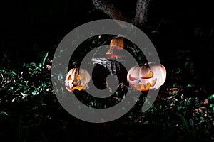Halloween three pumpkins in leaves and grass in the dark, scary