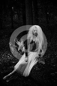 Halloween time, girl in white veil at forest