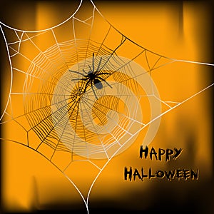 Halloween vector background with spider on web