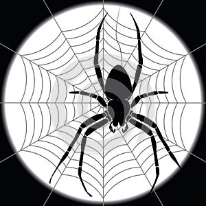 Halloween vectors, illustrations, emojis, and patterns. Spider.