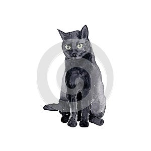 Halloween watercolour decorative isolate illustration of a black cat