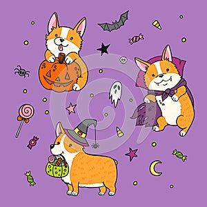 Halloween Welsh corgi dogs with pumpkin and treats