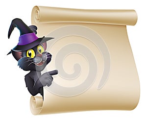 Halloween Witch Cat Scroll