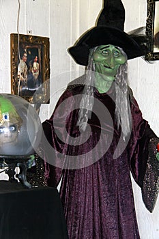 Halloween witch with crystal ball