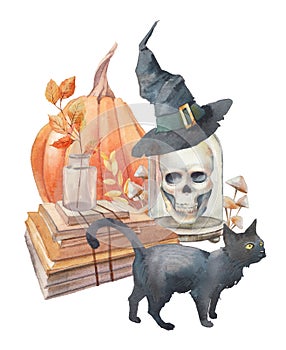 Halloween witch illustration