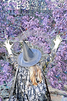 Halloween Witch with a magic in a dark forest. Beautiful young woman in witches hat and costume holding magic light in