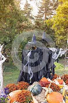 Halloween witch scarecrow and pumpkin decoration. Yard photo zone ideas