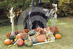 Halloween witch scarecrow and pumpkin decoration. Yard photo zone ideas