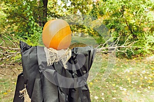 Halloween witch scarecrow with pumpkin head decoration for fall, copy space