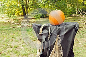 Halloween witch scarecrow with pumpkin head decoration for fall, copy space