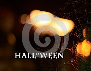 Halloween writing on dark background with spider web with backlit at sunset outdoor in the evening