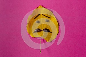 Halloween yellow leaf with eyes and mustache on pink background.Funny holiday or seasonal flat lay concept