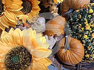 Hallowin pumkin  ready to party.