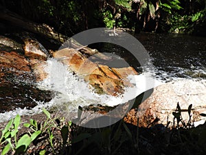 Halls Falls, Pyengana, Tasmania