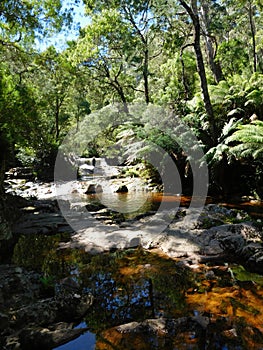 Halls Falls, Pyengana, Tasmania