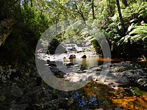 Halls Falls, Pyengana, Tasmania