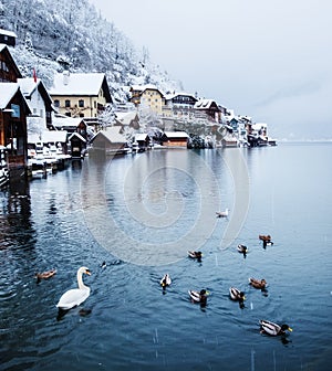 Hallstat village in Austria. Beautiful village in mountain valley near lake. Mountains landscape and old town.