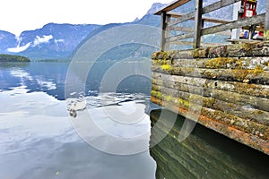 Hallstatt Lake on a Gloomy Day