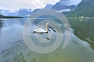 Hallstatt Lake on a Gloomy Day