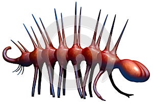 Hallucigenia 3D illustration photo