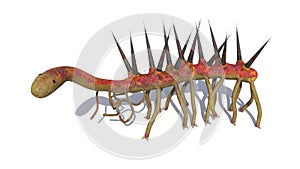 Hallucigenia, prehistoric aquatic animal from the Cambrian Period isolated on white background 3d science illustration photo