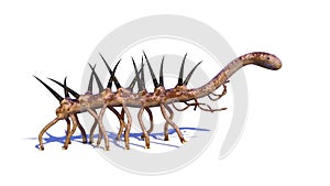 Hallucigenia, prehistoric aquatic animal from the Cambrian Period isolated on white background 3d science rendering photo