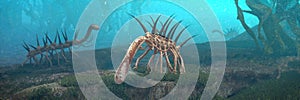 Hallucigenia, prehistoric aquatic animals from the Cambrian Period 3d paleoart illustration banner photo