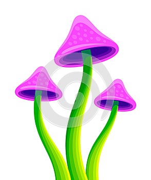 Hallucinogenic narcotic mushrooms photo