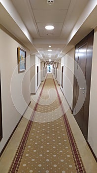 Hallway with carpet and number of rooms