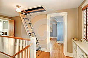 Hallway interior with folding attic ladder