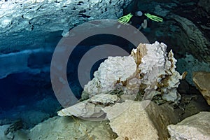 Halocline effect while diving in cenotes cave in Mexico