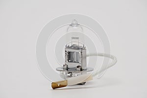 Halogen bulb for a car on a white background