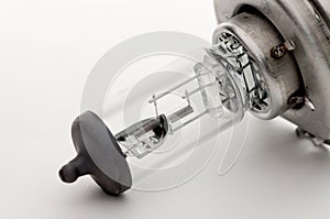 Halogen bulb for a car on a white background