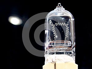 Halogen Lamp Back Lit photo