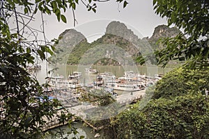 Halong Bay junks