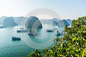 Halong Bay Vietnam