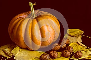 Haloween pumpkin with leafs and hazelnuts