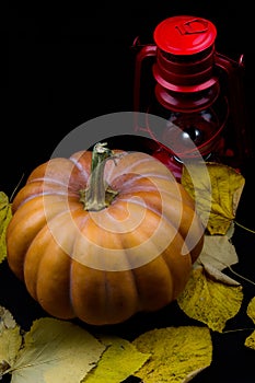 Haloween pumpkin with leafs hazelnuts