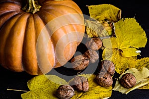 Haloween pumpkin with leafs hazelnuts