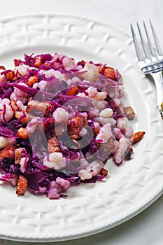 Halusky with bacon and red cabbage