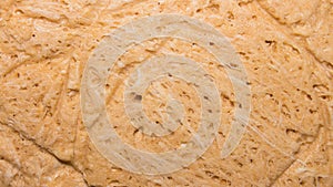 Background of peanut halva.Halva peanut.