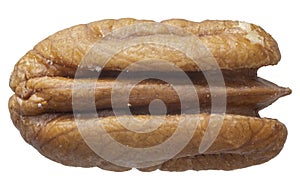 Halve of pecan closeup, PNG or illustration, icon, clip art, or graphic on transparent background