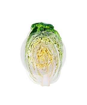 Halved chinese cabbage, clean crossection