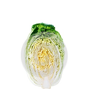 Halved chinese cabbage, clean crossection photo