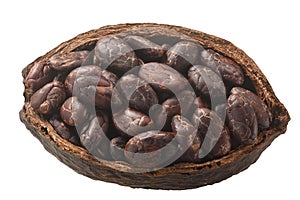 Halved cocoa pod with whole fermented cacao beans (Theobroma cacao fruit w seeds) isolated  top view